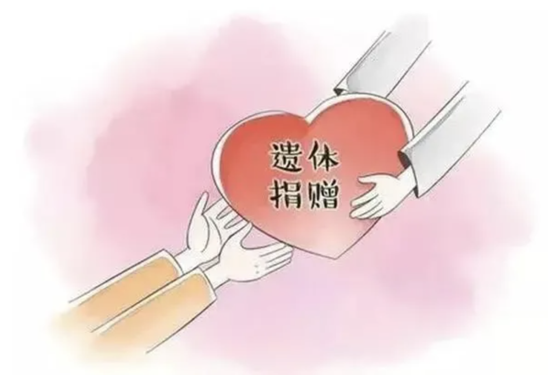 一纸遗愿映初心，古稀老人捐遗体续燃生命之光